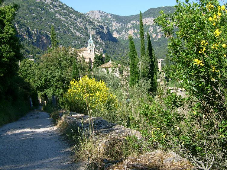 Quelques idées de balades incontournables à Majorque
