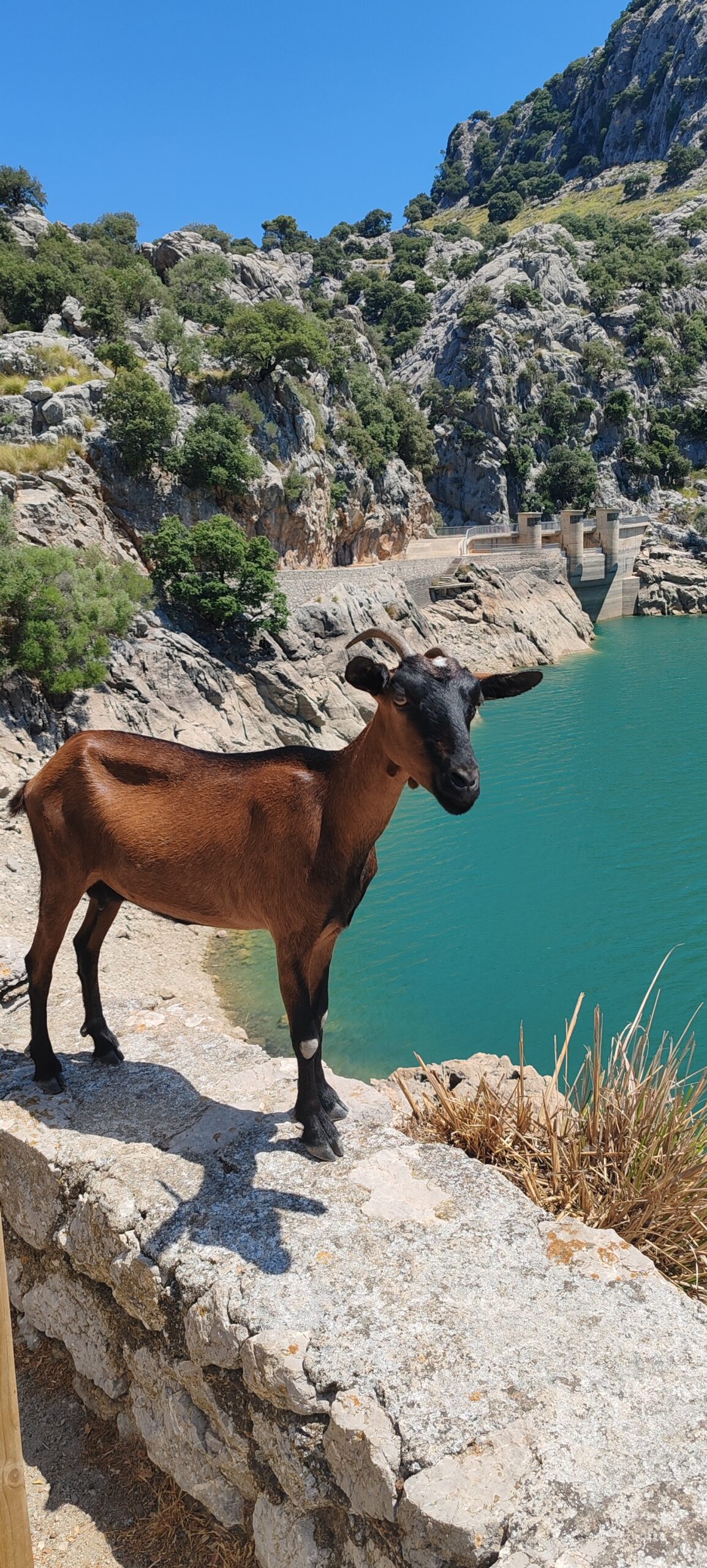 Voyager autrement, c’est aussi respecter l’île de Majorque
