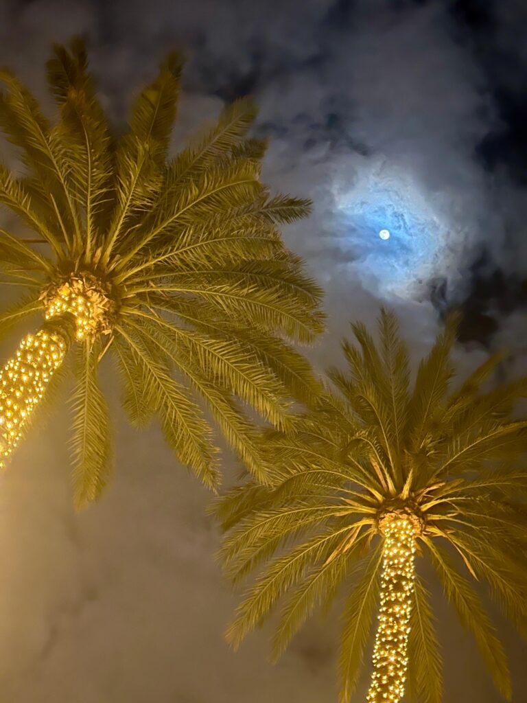 Les décorations dans les bas et restaurants pour Noël à Majorque