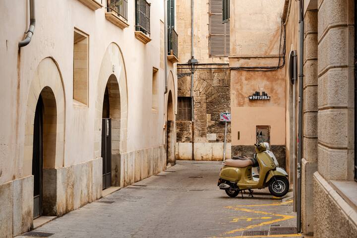 visite palma rony floris