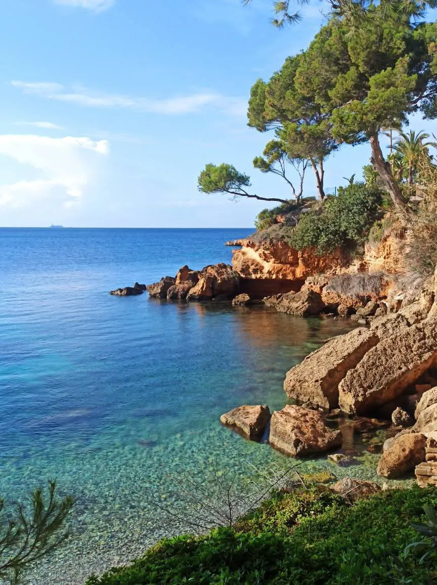 Bons plans : Que faire à Majorque ?