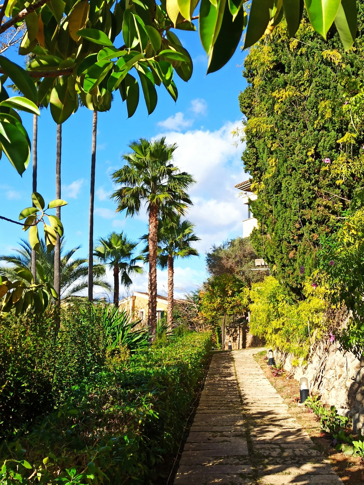 Que faire à Majorque en Janvier ? Le guide complet