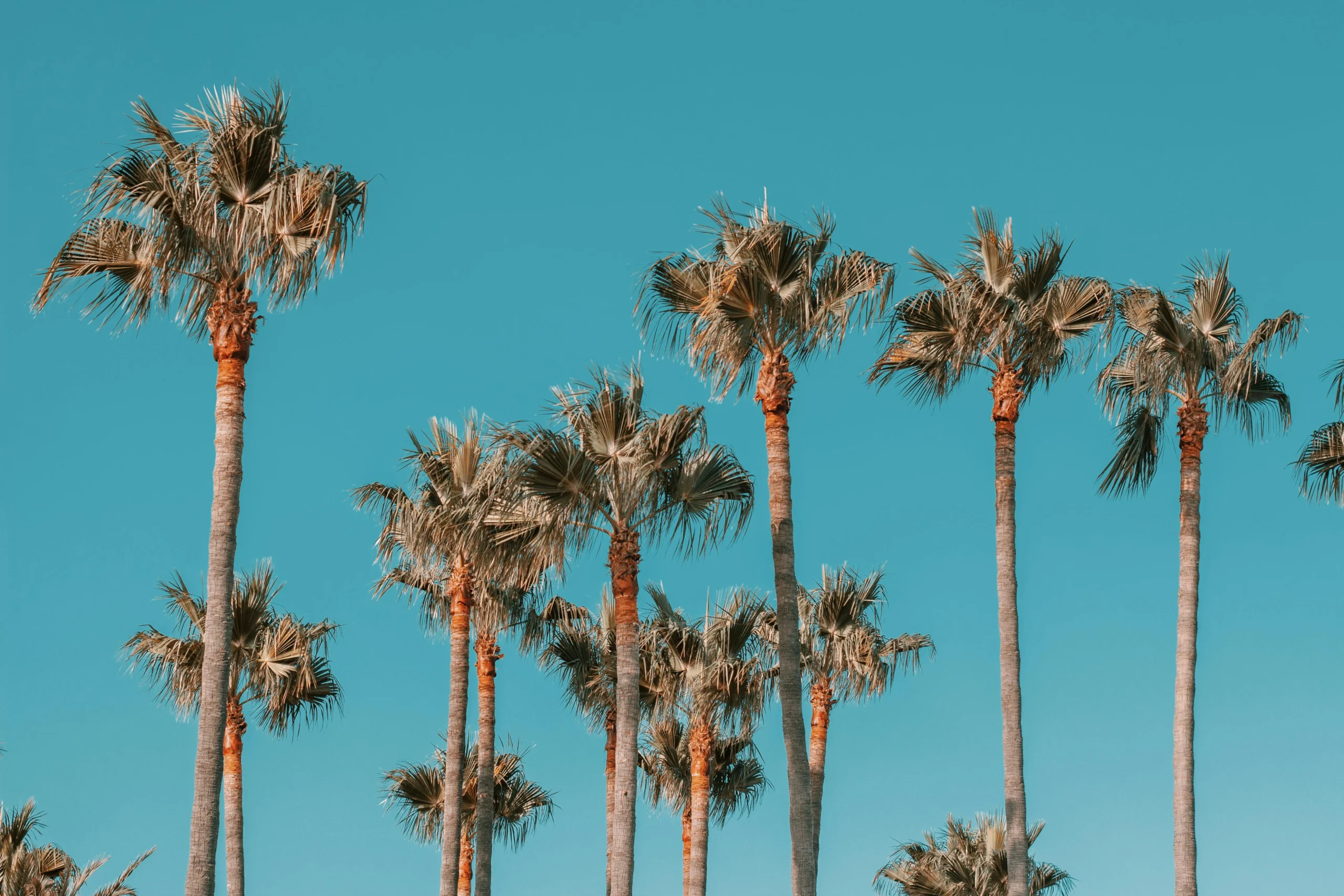 Profitez de Nos Bons plans et codes de promotion