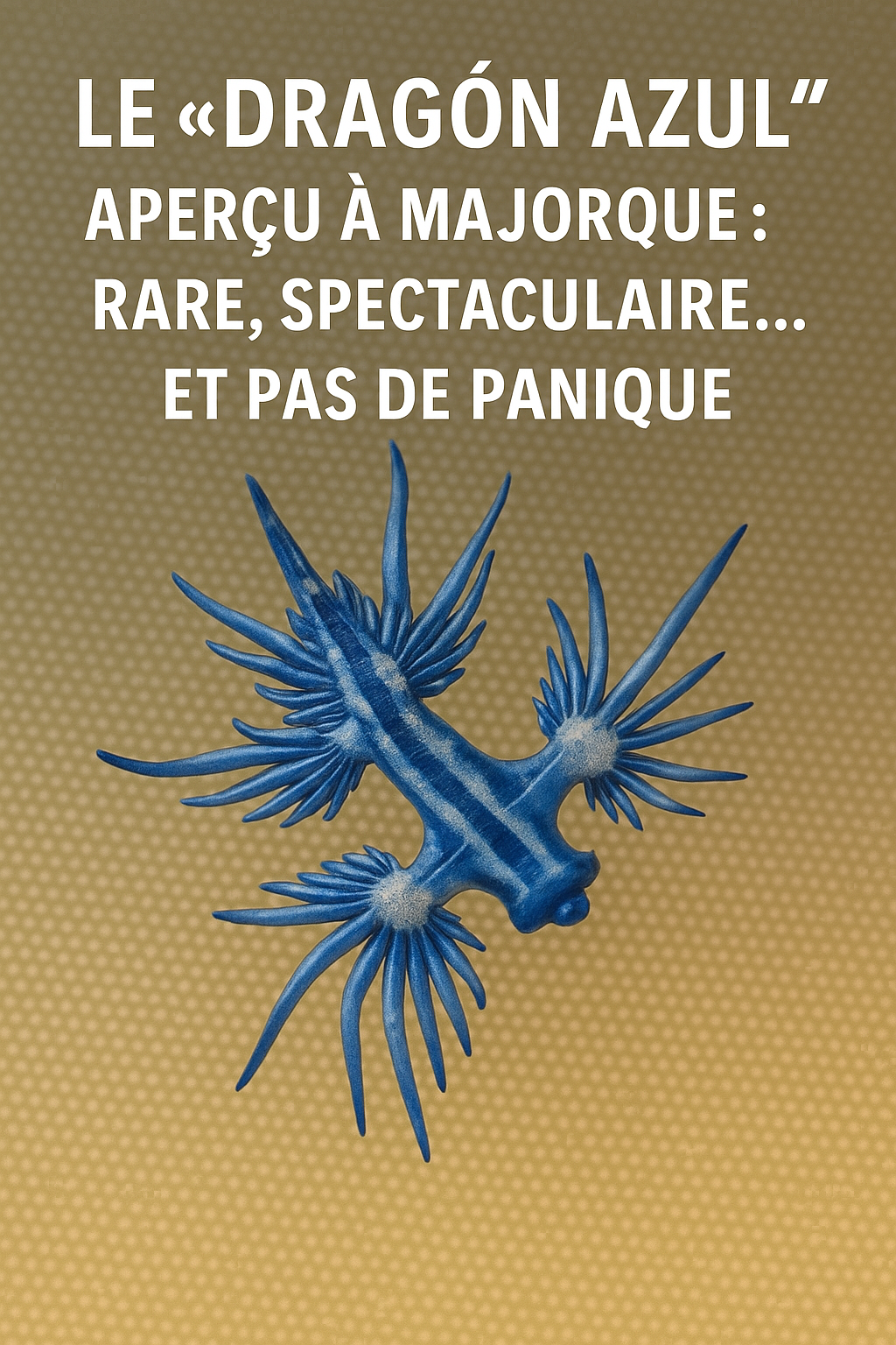 Dragon bleu en Espagne : faut-il s’inquiéter à Majorque ?