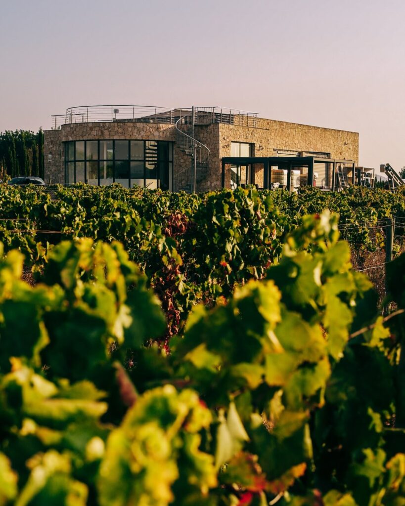 Octobre et les routes du vin de Majorque