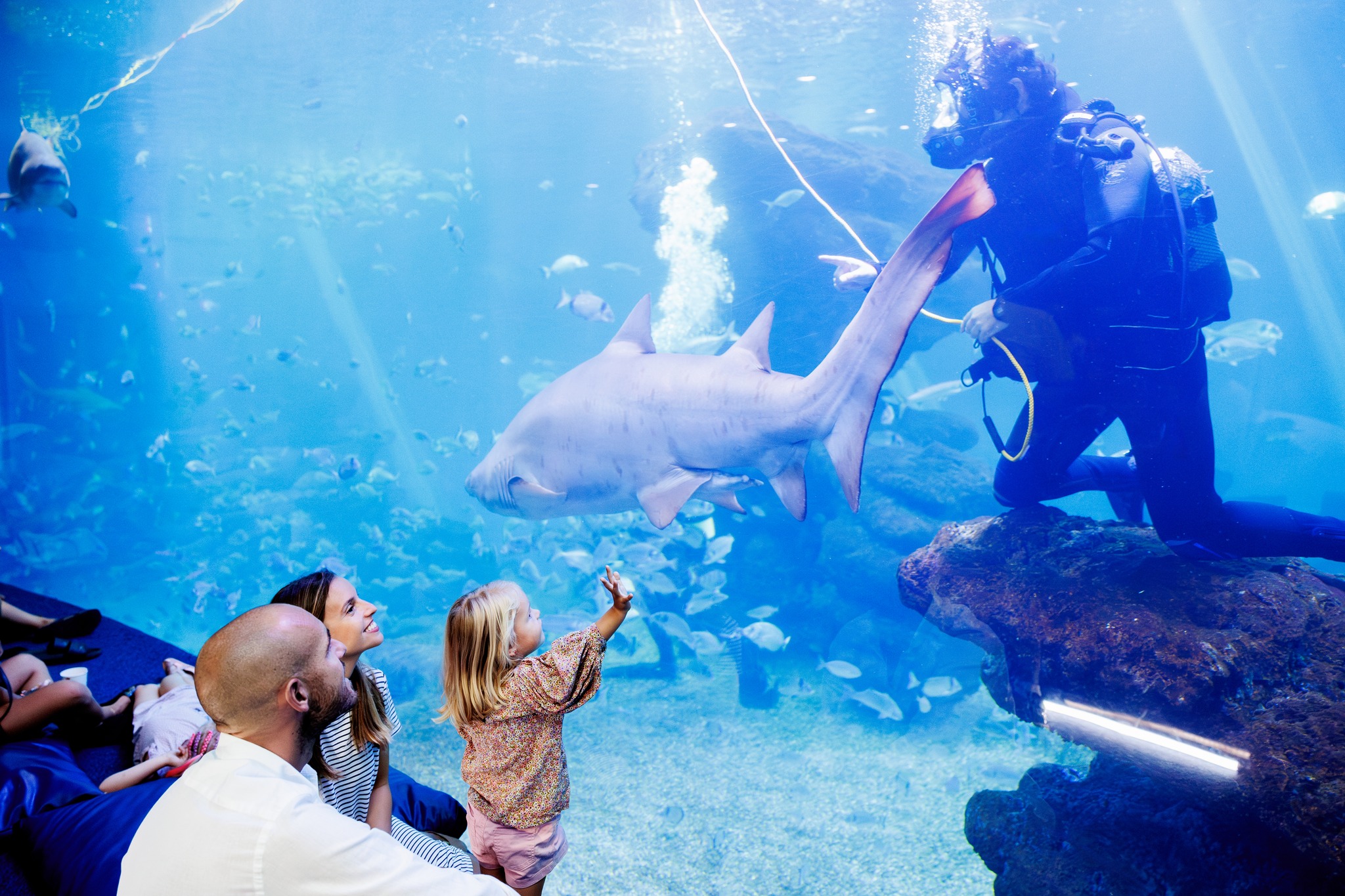 Séjour en Famille à Majorque : Excursions Incontournables