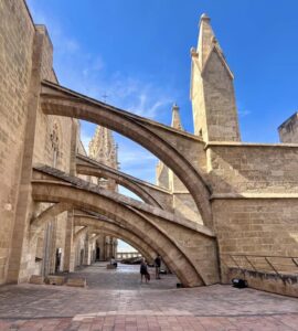 terrasse palma cathédrale