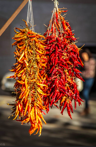 Guide Complet des Marchés de Majorque en 2025 :