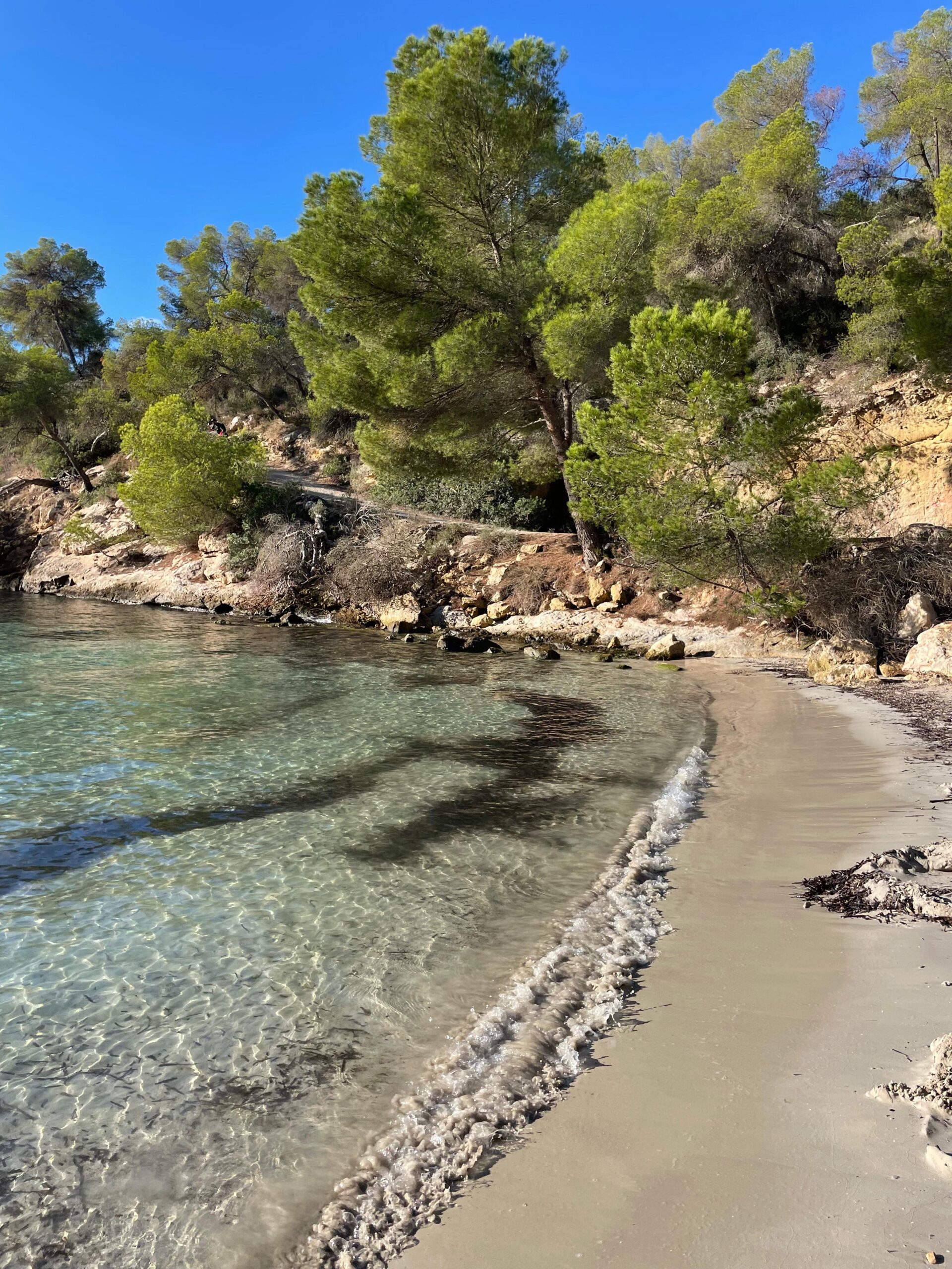 Que faire à Majorque en Novembre ? Le guide complet