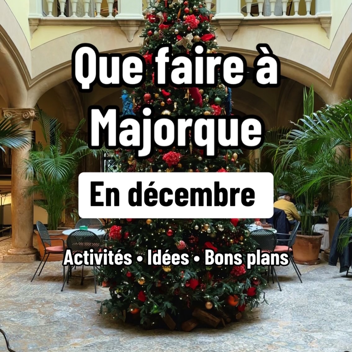 Que faire à Majorque en décembre ? 5 activités incontournables en hiver