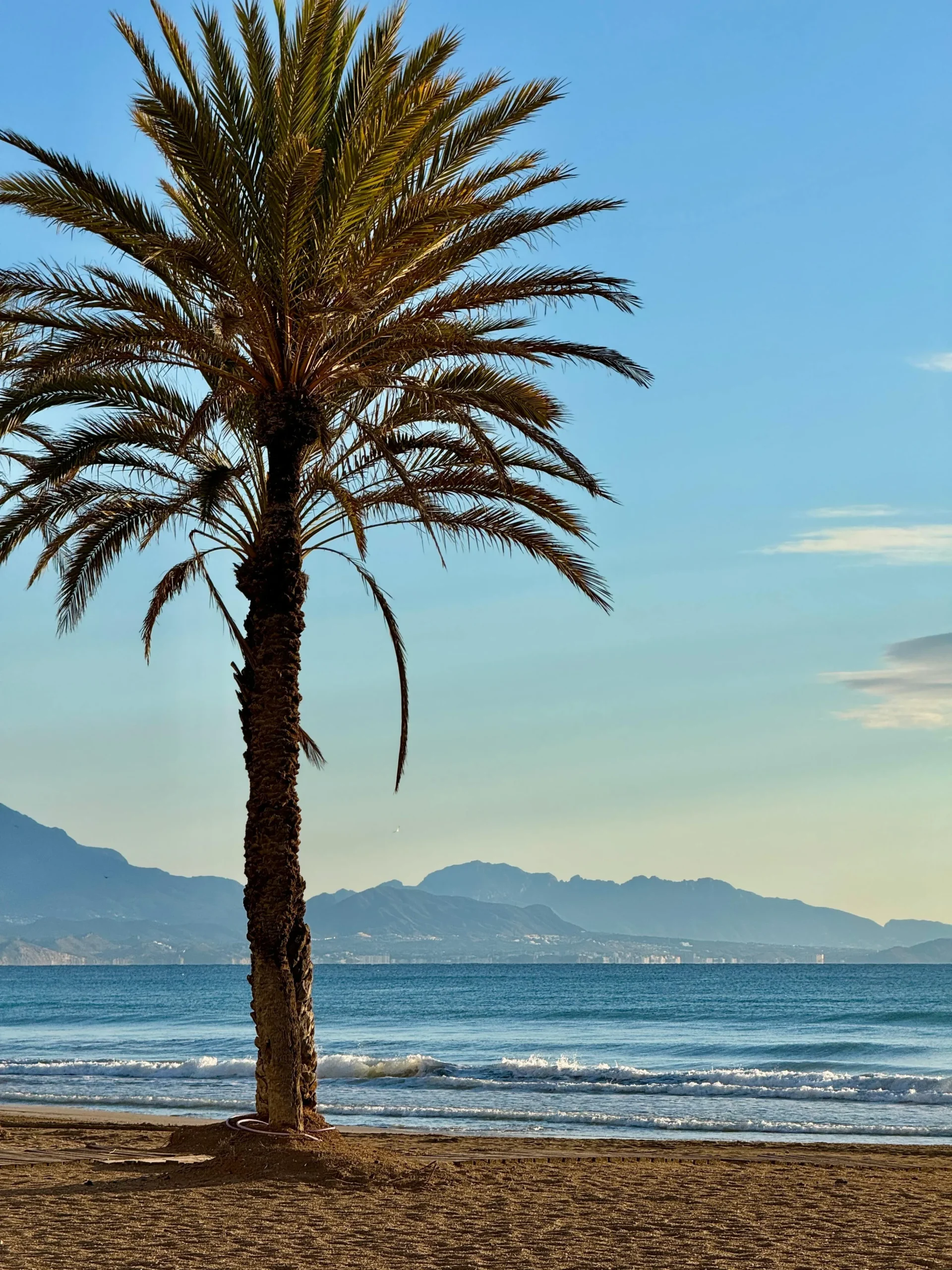 Que faire ร Majorque en fรฉvrier ?